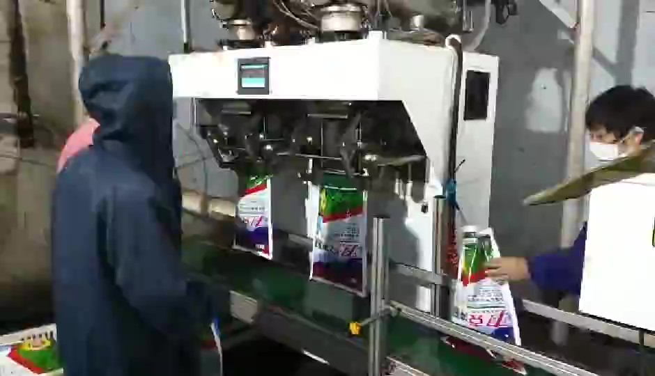 �o�������p��